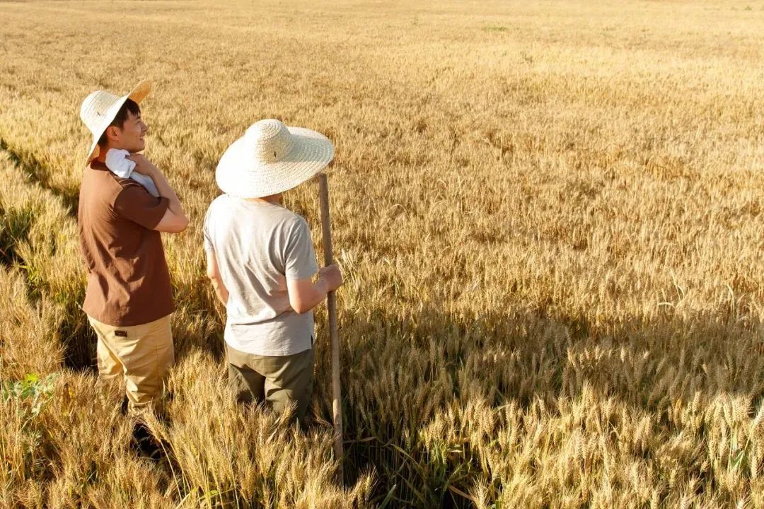 1100万人选择返乡，，，，，，怎样助力他们做事创业？？？？？？？？