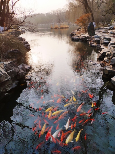 万利·(中国区)官方网站