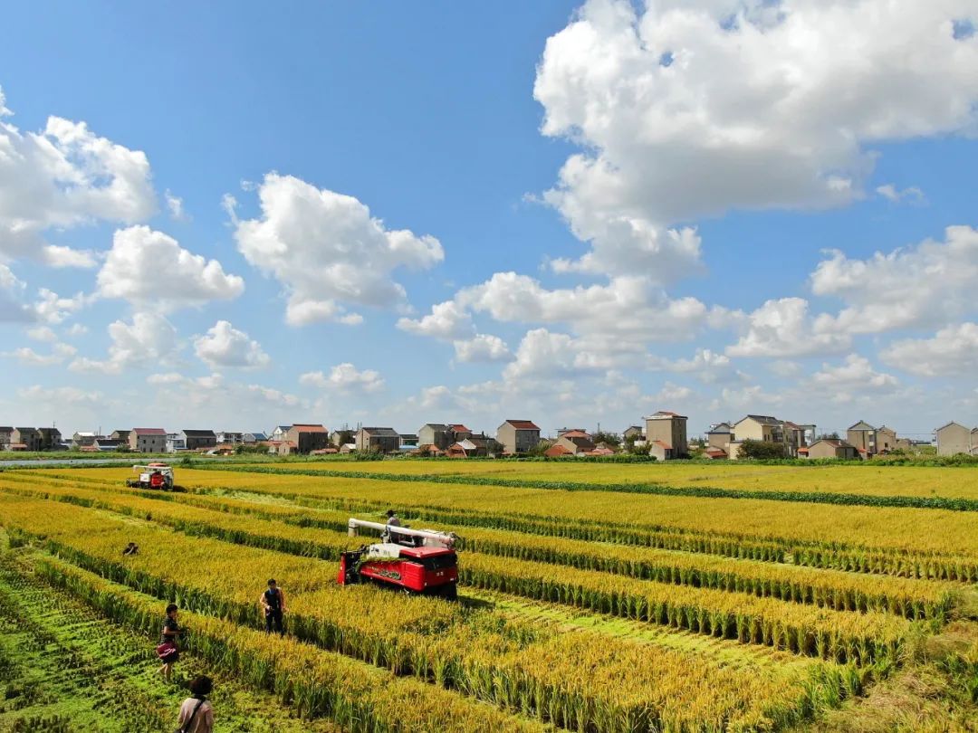 唐遥：面向未来怎样建设多维度多样化的墟落振兴评价系统？？？？？？？