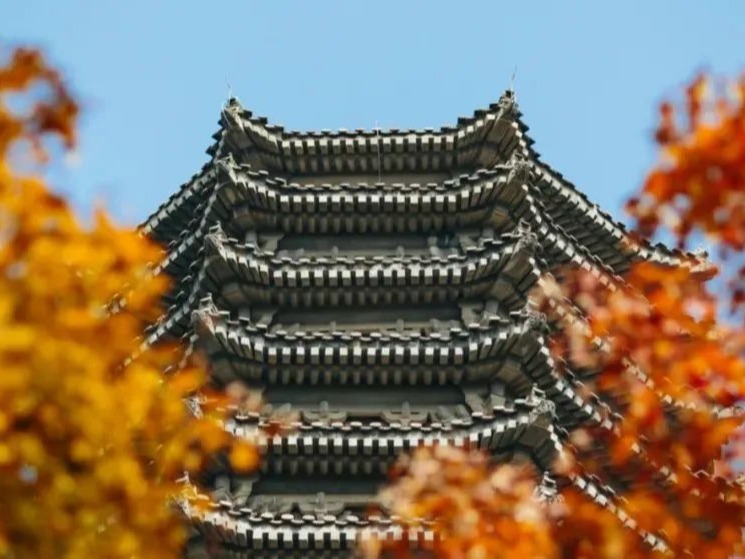 万利·(中国区)官方网站