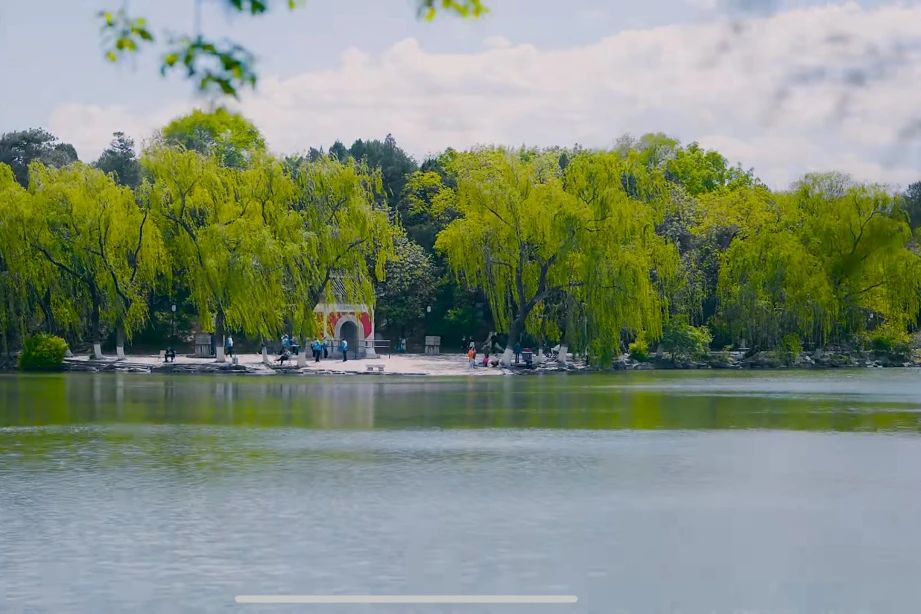 Ů��ʿ���������ԣ�����