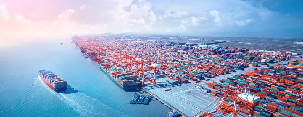 唐 遥：全球供应链和价值链会疫后重组吗？？？？？