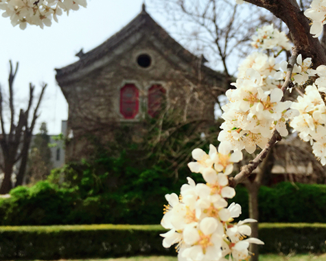 万利·(中国区)官方网站