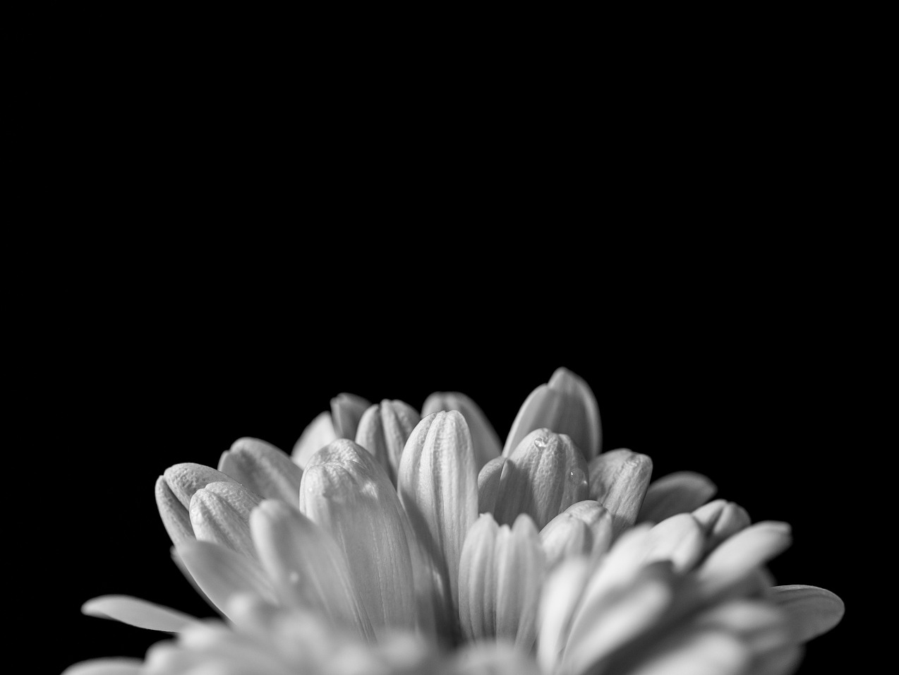 ������(�й���)�ٷ���վ