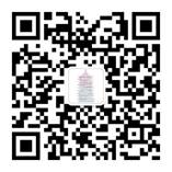 QR 代码形貌已自动天生