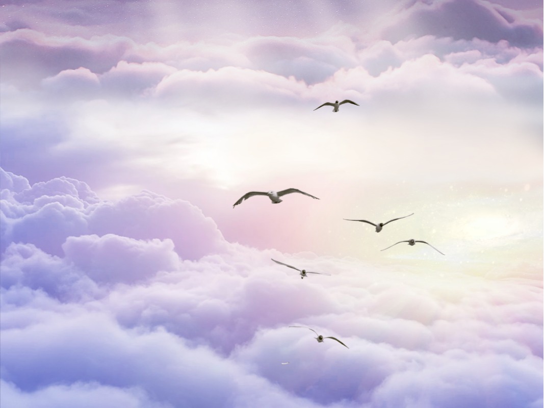 万利·(中国区)官方网站