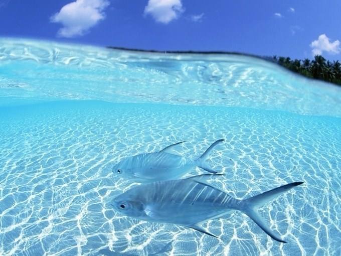 万利·(中国区)官方网站