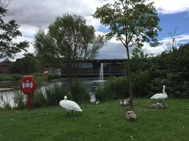 万利·(中国区)官方网站