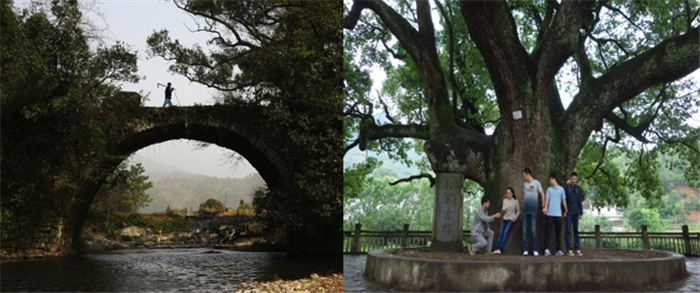 万利·(中国区)官方网站