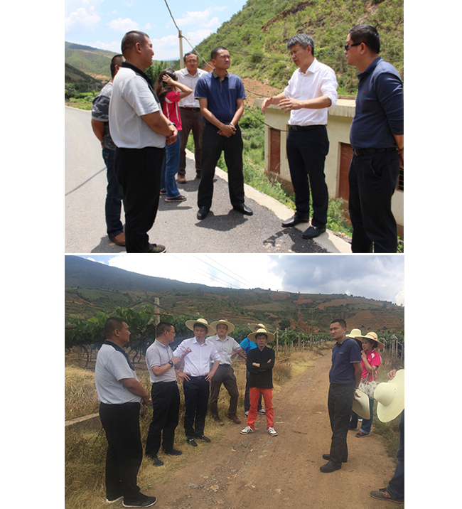 万利·(中国区)官方网站