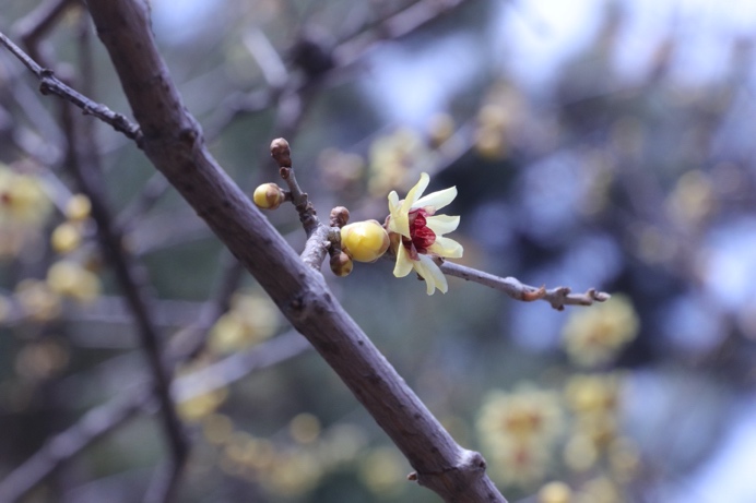 万利·(中国区)官方网站