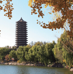 万利·(中国区)官方网站