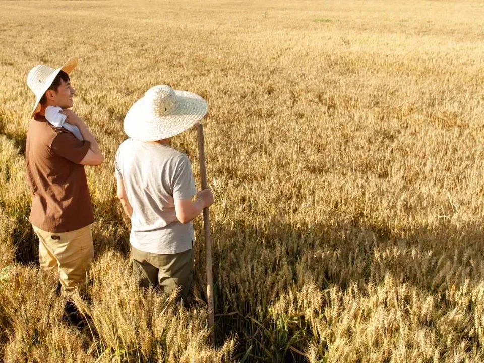 万利·(中国区)官方网站