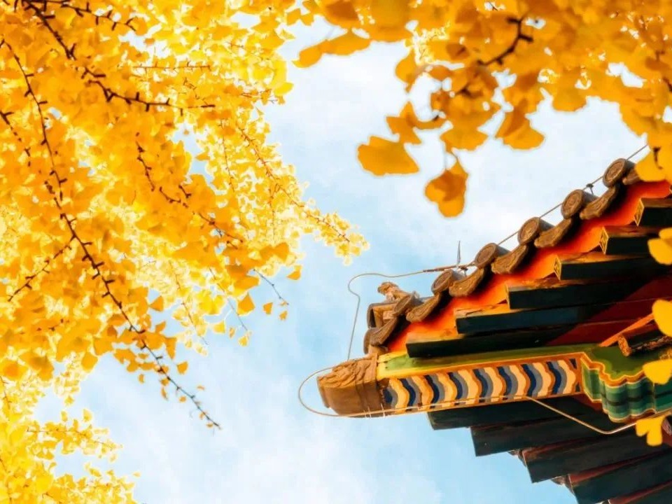 万利·(中国区)官方网站