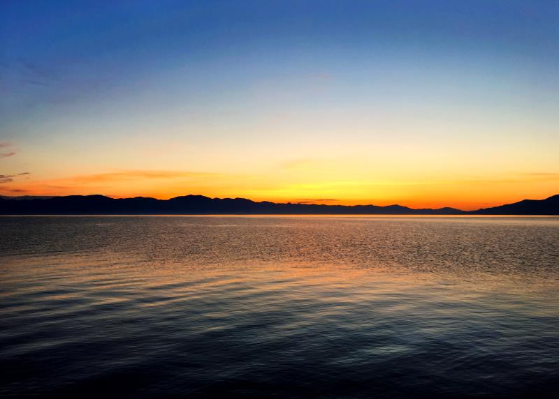 万利·(中国区)官方网站