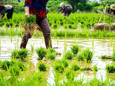 万利·(中国区)官方网站