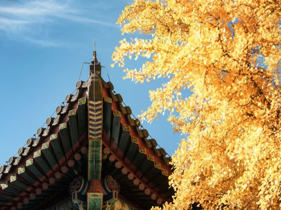 万利·(中国区)官方网站