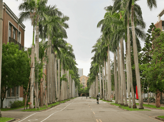 台湾：匠心银发工业探访丨国际商务方略