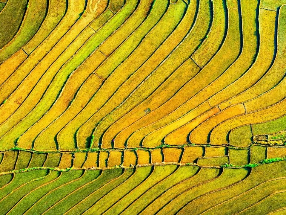 万利·(中国区)官方网站