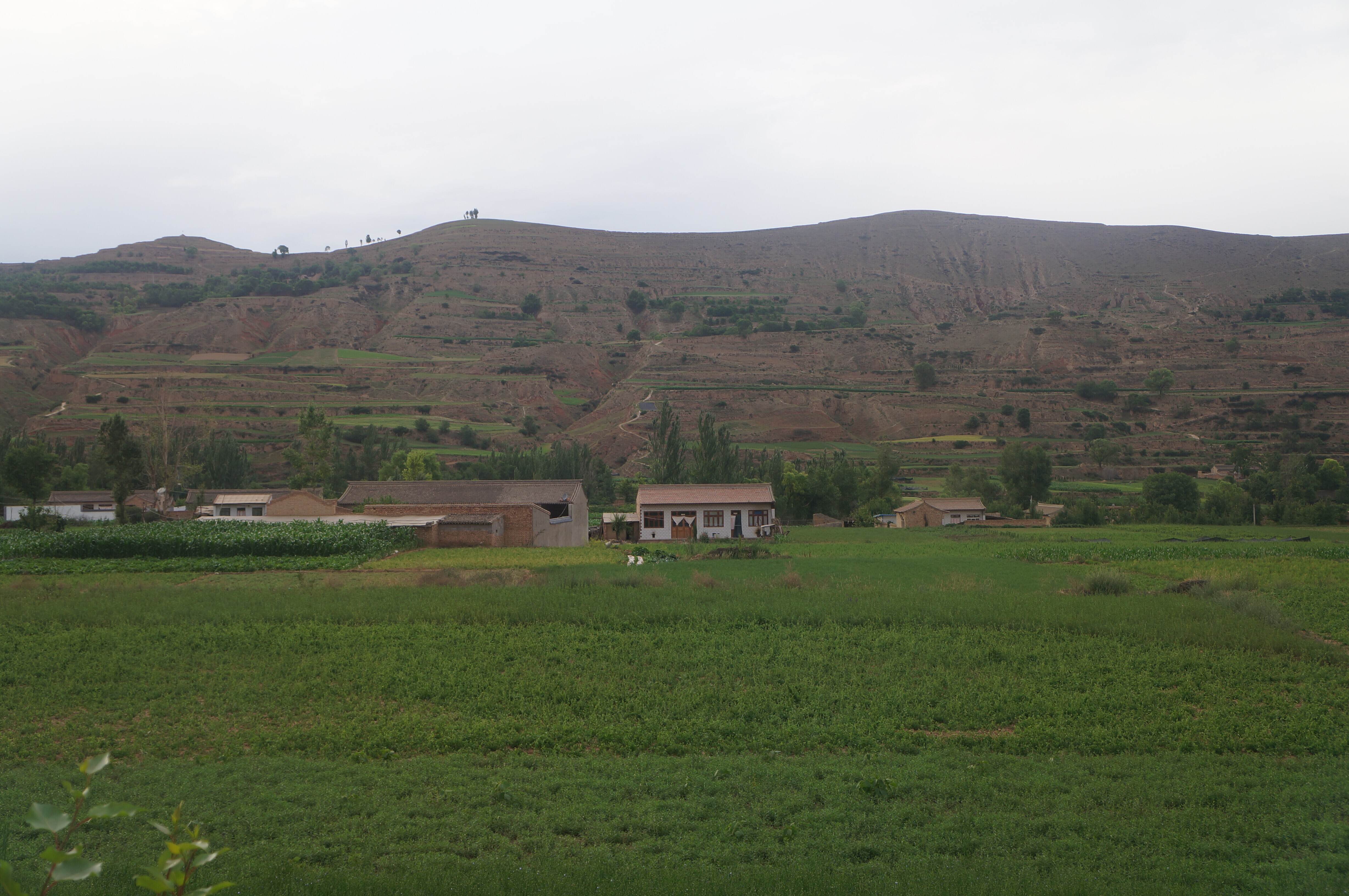 万利·(中国区)官方网站