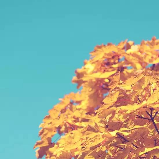 万利·(中国区)官方网站