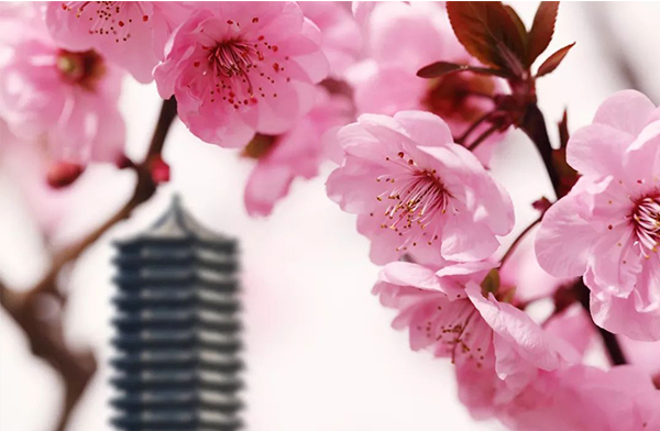 万利·(中国区)官方网站