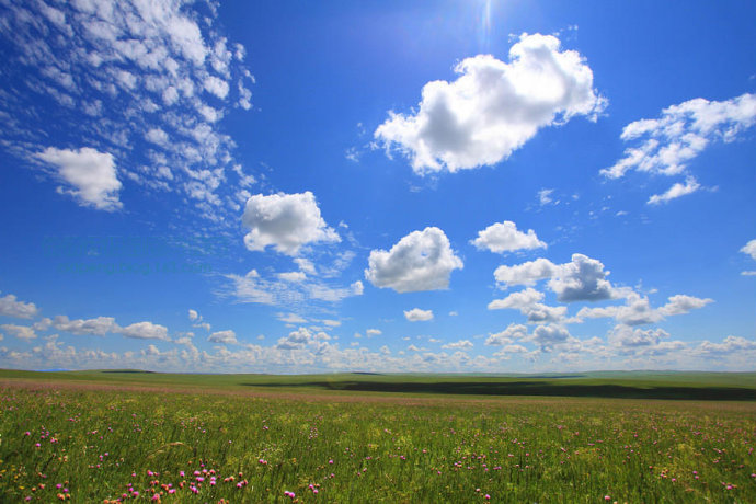 万利·(中国区)官方网站