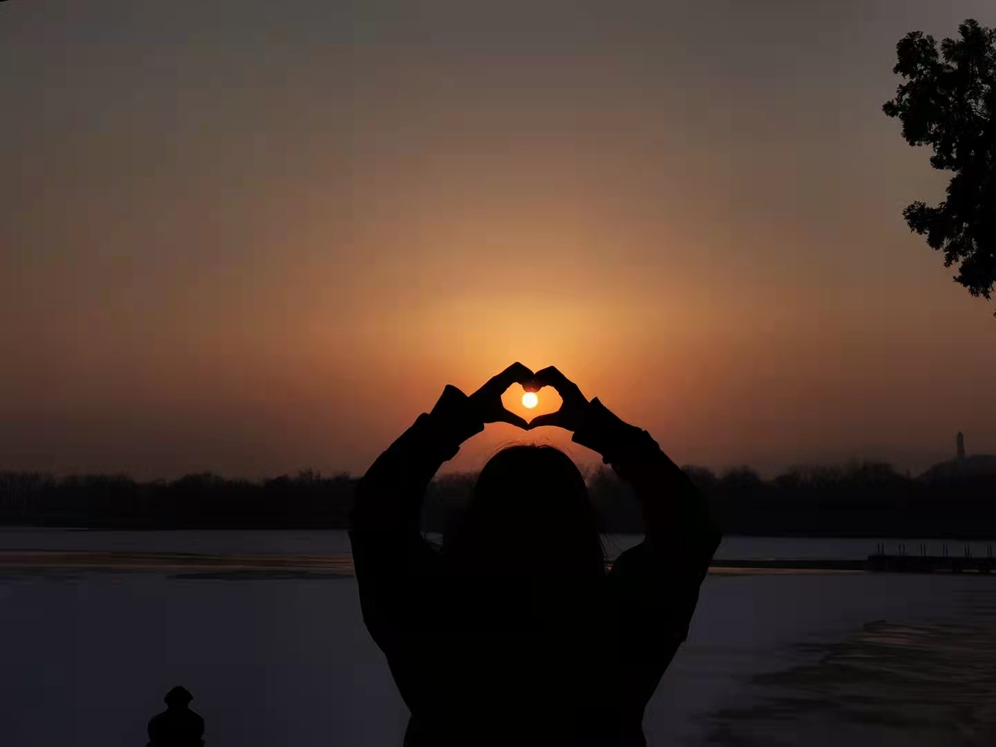 万利·(中国区)官方网站