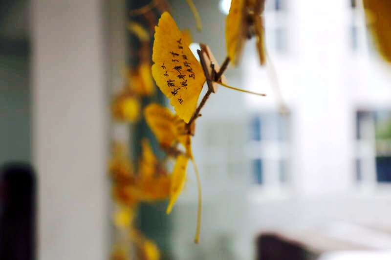 万利·(中国区)官方网站