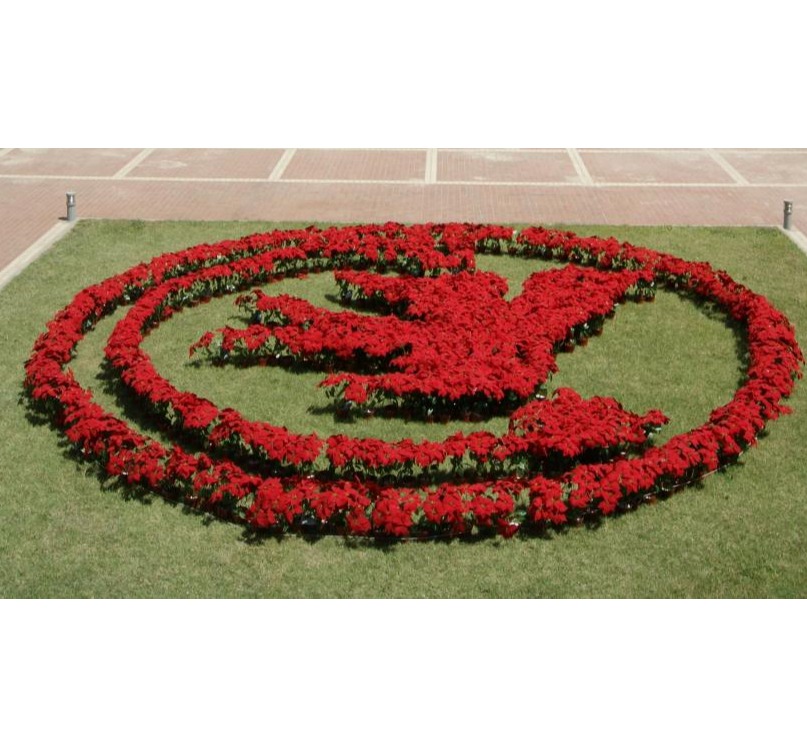 万利·(中国区)官方网站