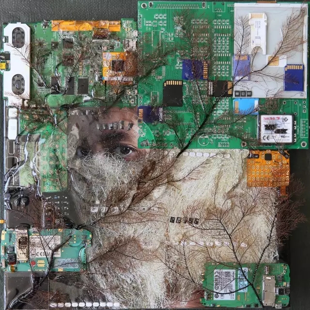 万利·(中国区)官方网站