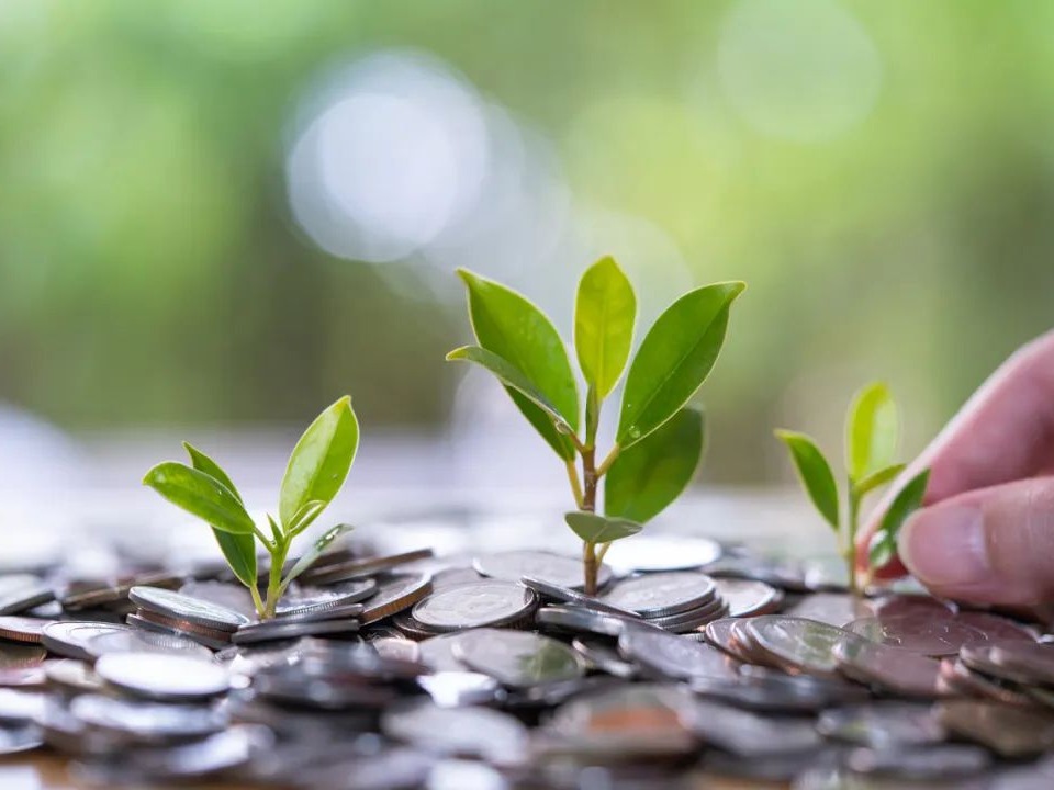 万利·(中国区)官方网站