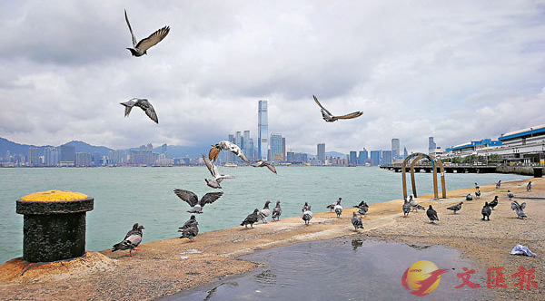 万利·(中国区)官方网站