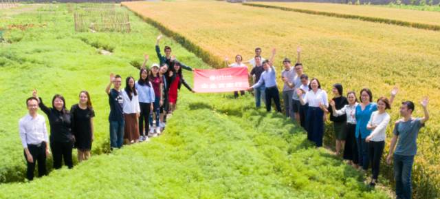 万利·(中国区)官方网站