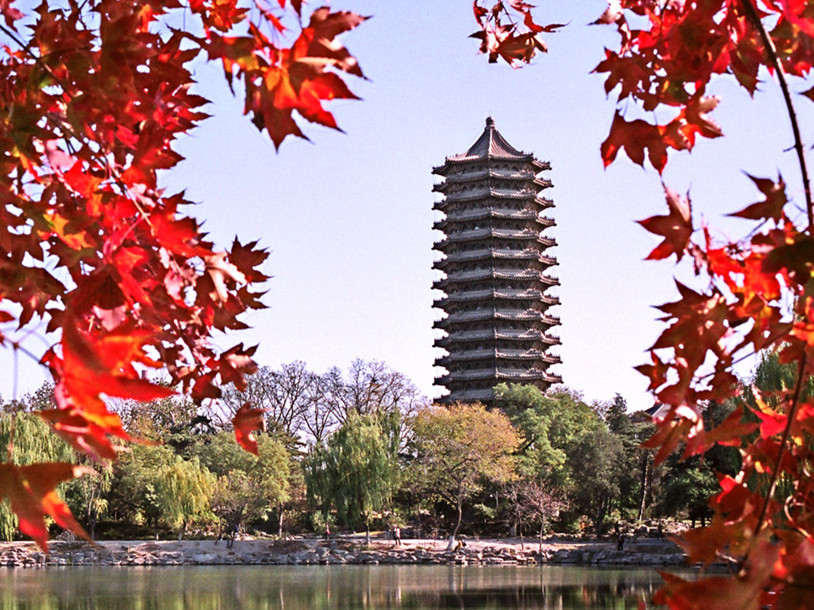  招生丨2020年北大万利官网整日制会计、审计硕士项目报名启动