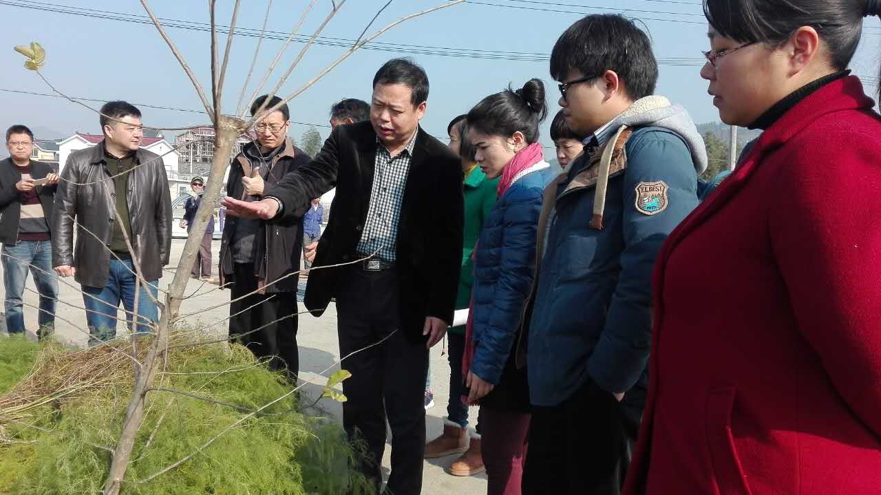 万利·(中国区)官方网站