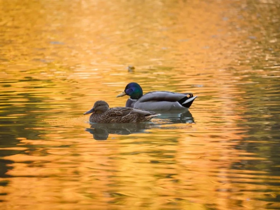万利·(中国区)官方网站