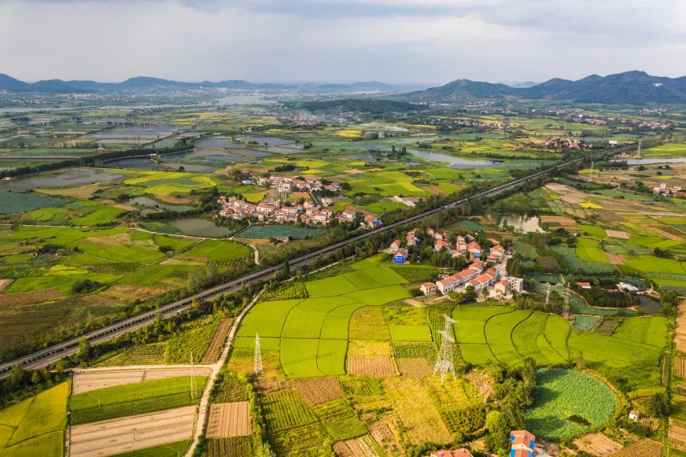 万利·(中国区)官方网站