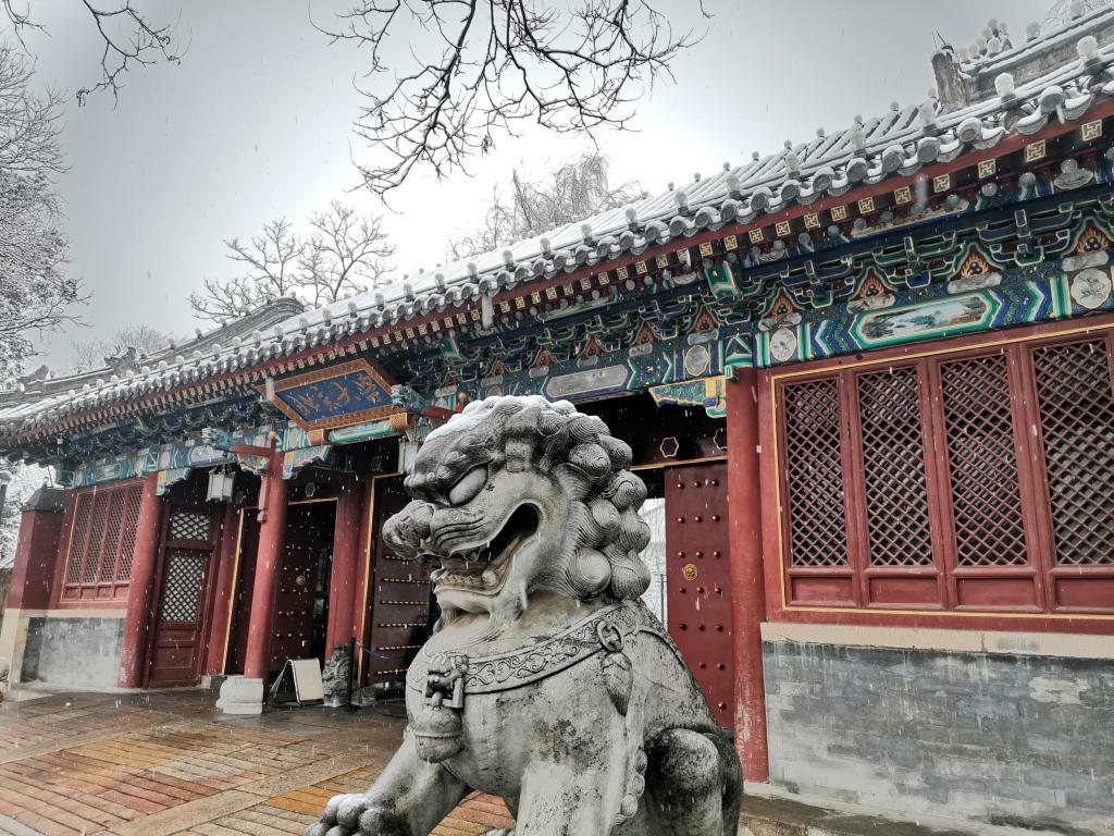  考研倒计时 | 预？？？？？？？？佳欣殖桑 