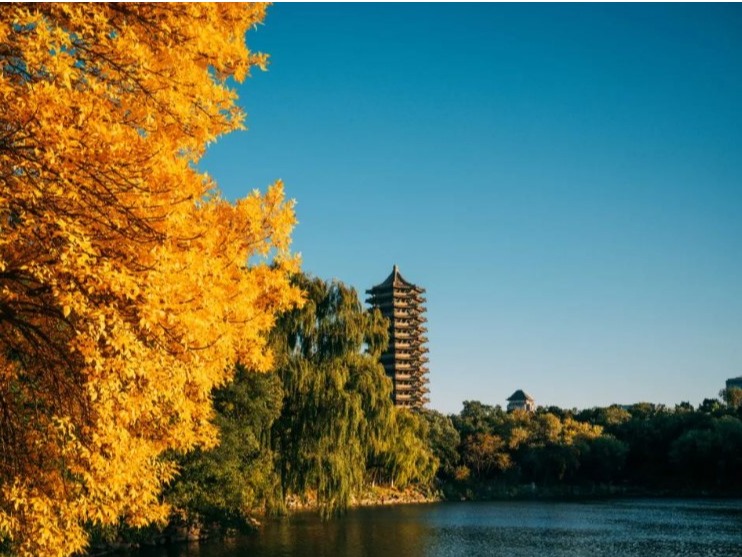 万利·(中国区)官方网站