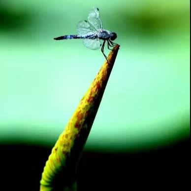 万利·(中国区)官方网站