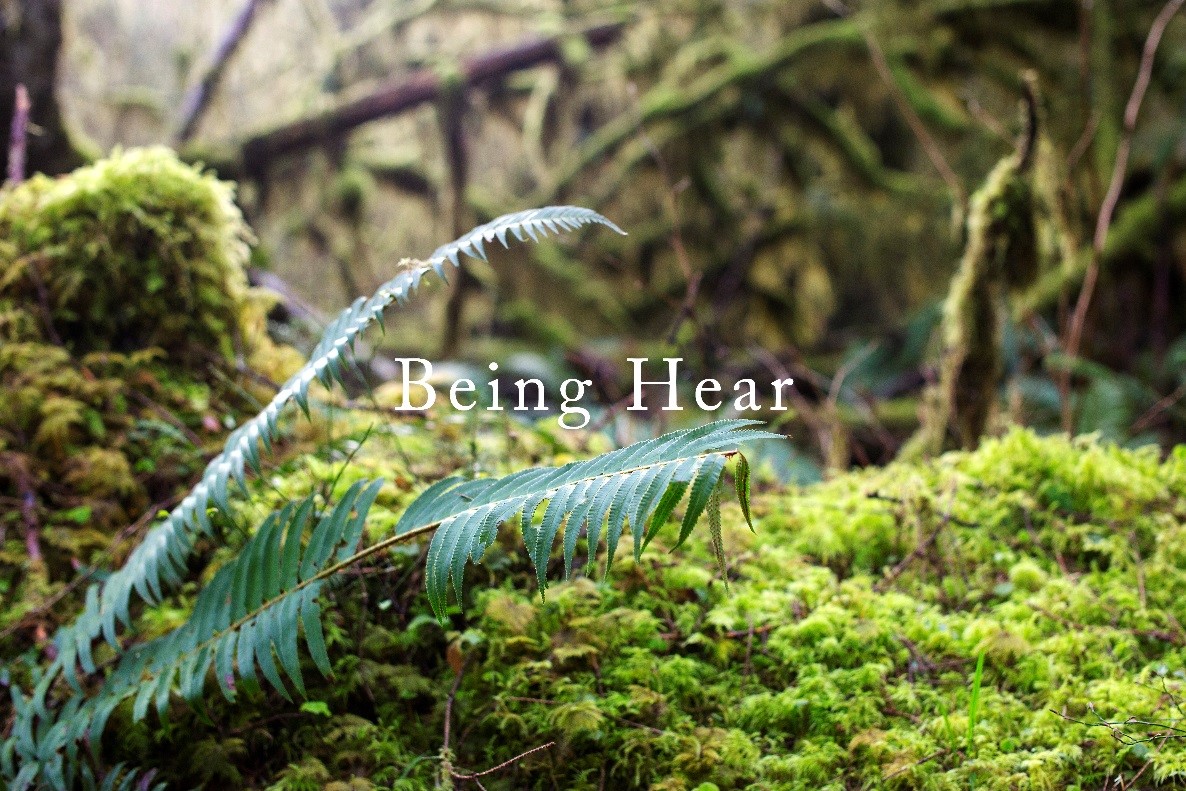 万利·(中国区)官方网站