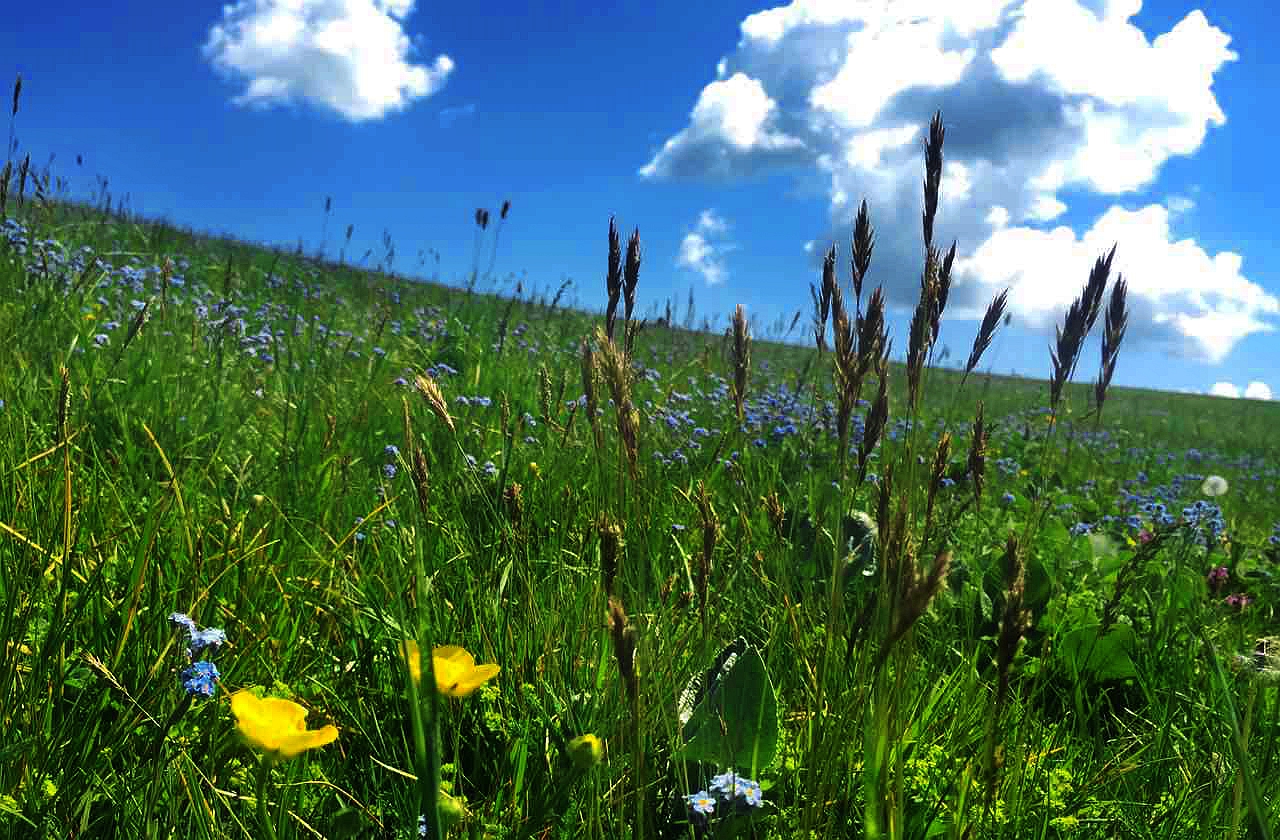 万利·(中国区)官方网站