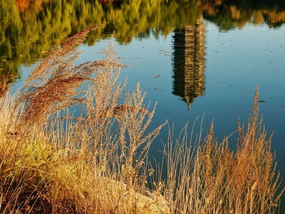 万利·(中国区)官方网站