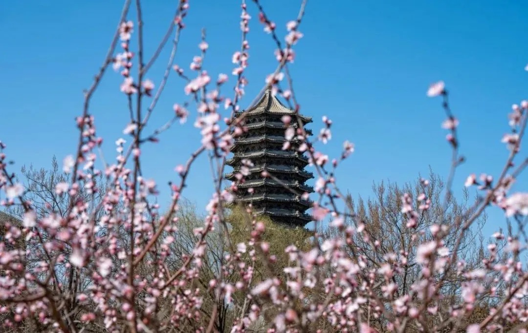 万利·(中国区)官方网站