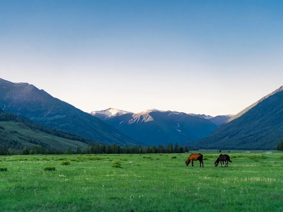 万利·(中国区)官方网站