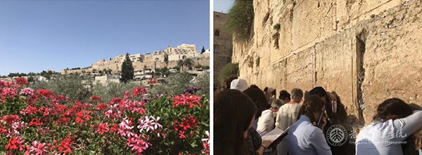 万利·(中国区)官方网站