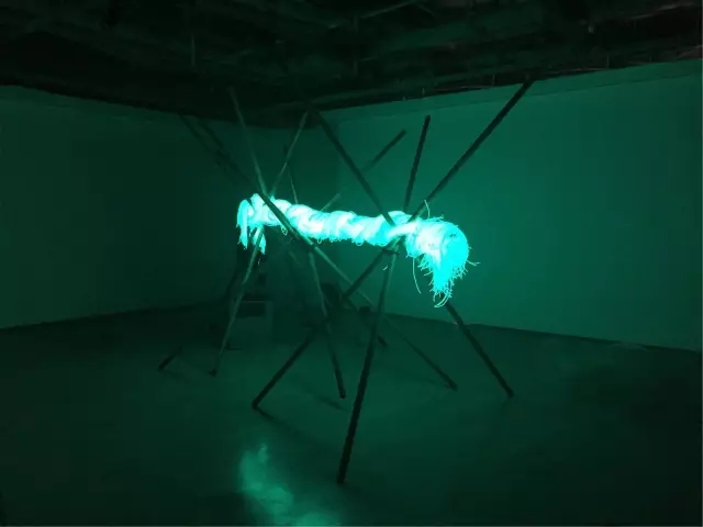 万利·(中国区)官方网站