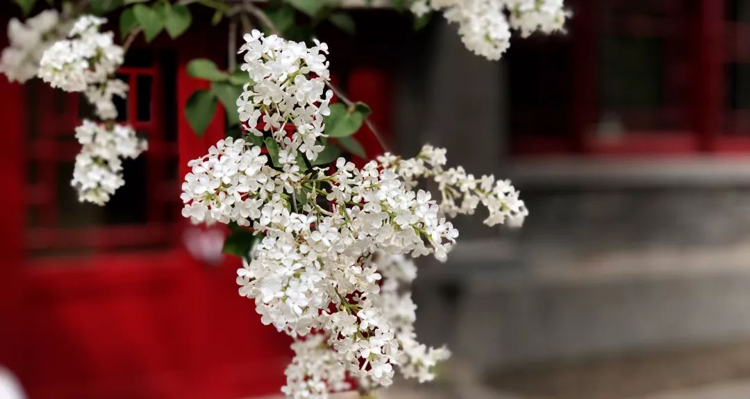 万利·(中国区)官方网站