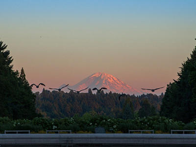 万利·(中国区)官方网站